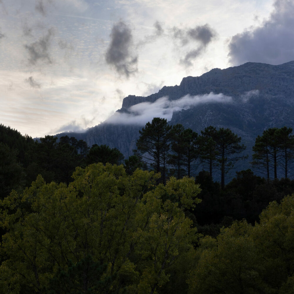 Hotel-Charme-Nature-Centre-Corse-Venaco-2