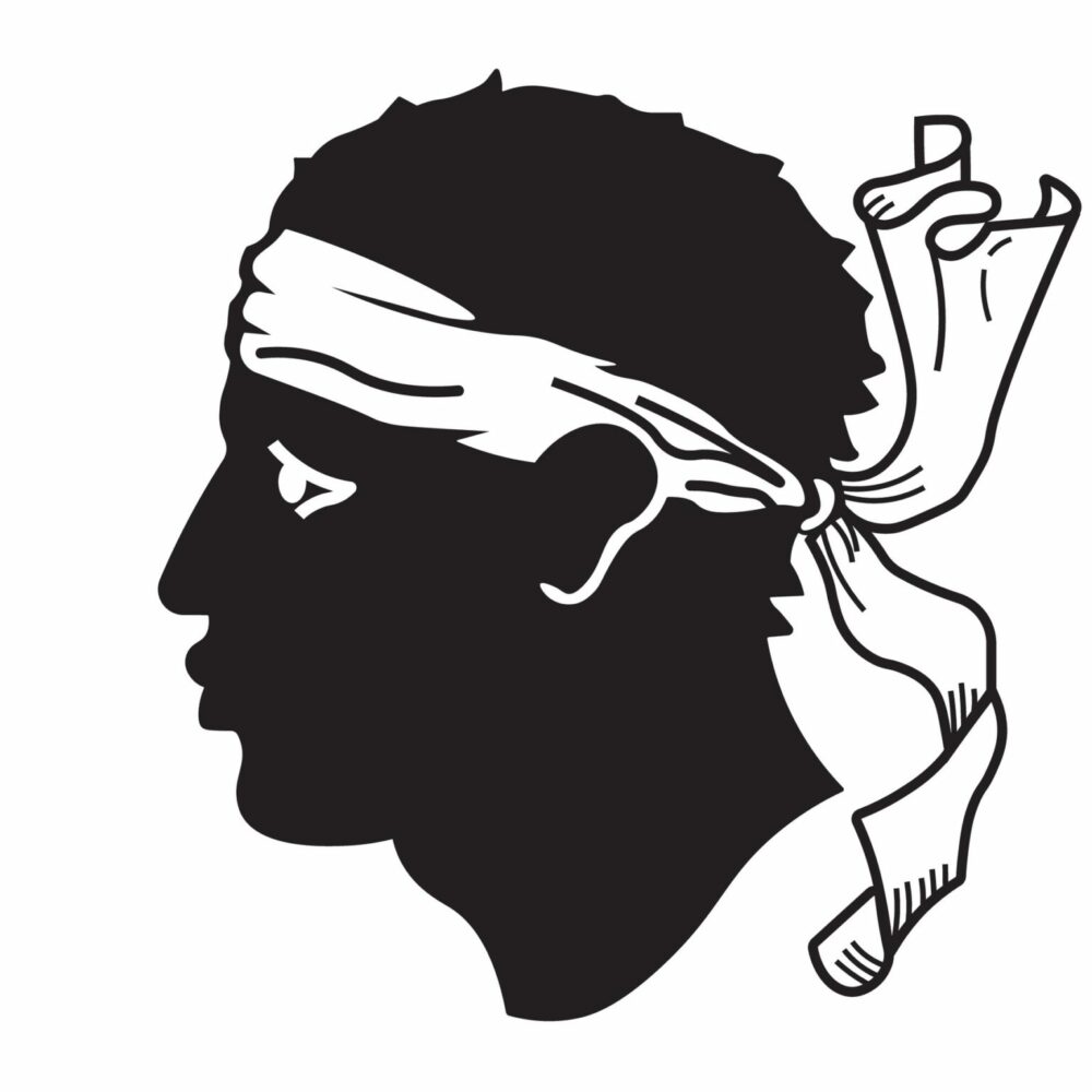 Flag of Corsica province. Vector illustration